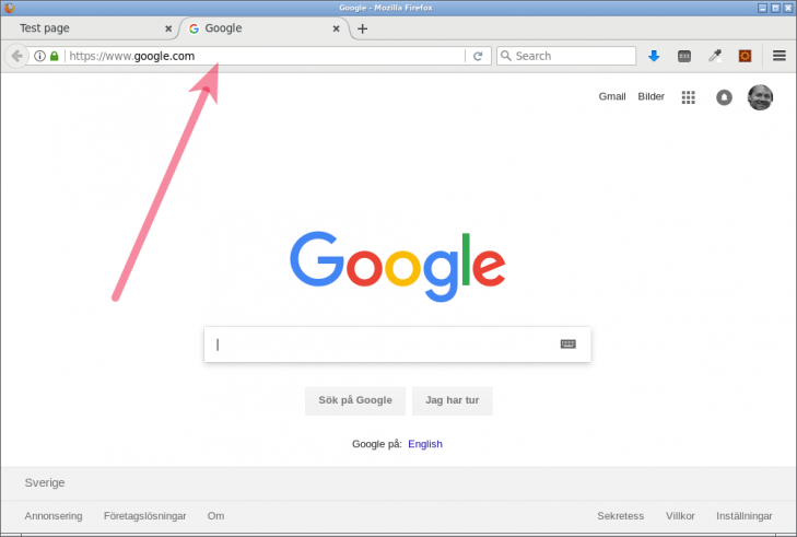 Sökmotorn Googles startsida, utan querysträngen.