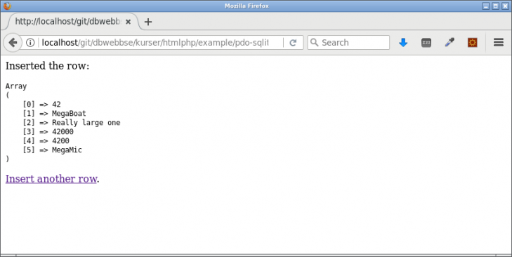 Processingsidan visar att allt gick bra.