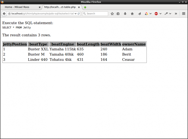 En databas har tabeller med kolumner och rader.