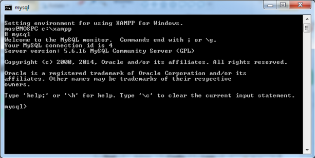 Kör MySQL CLI i shellet.
